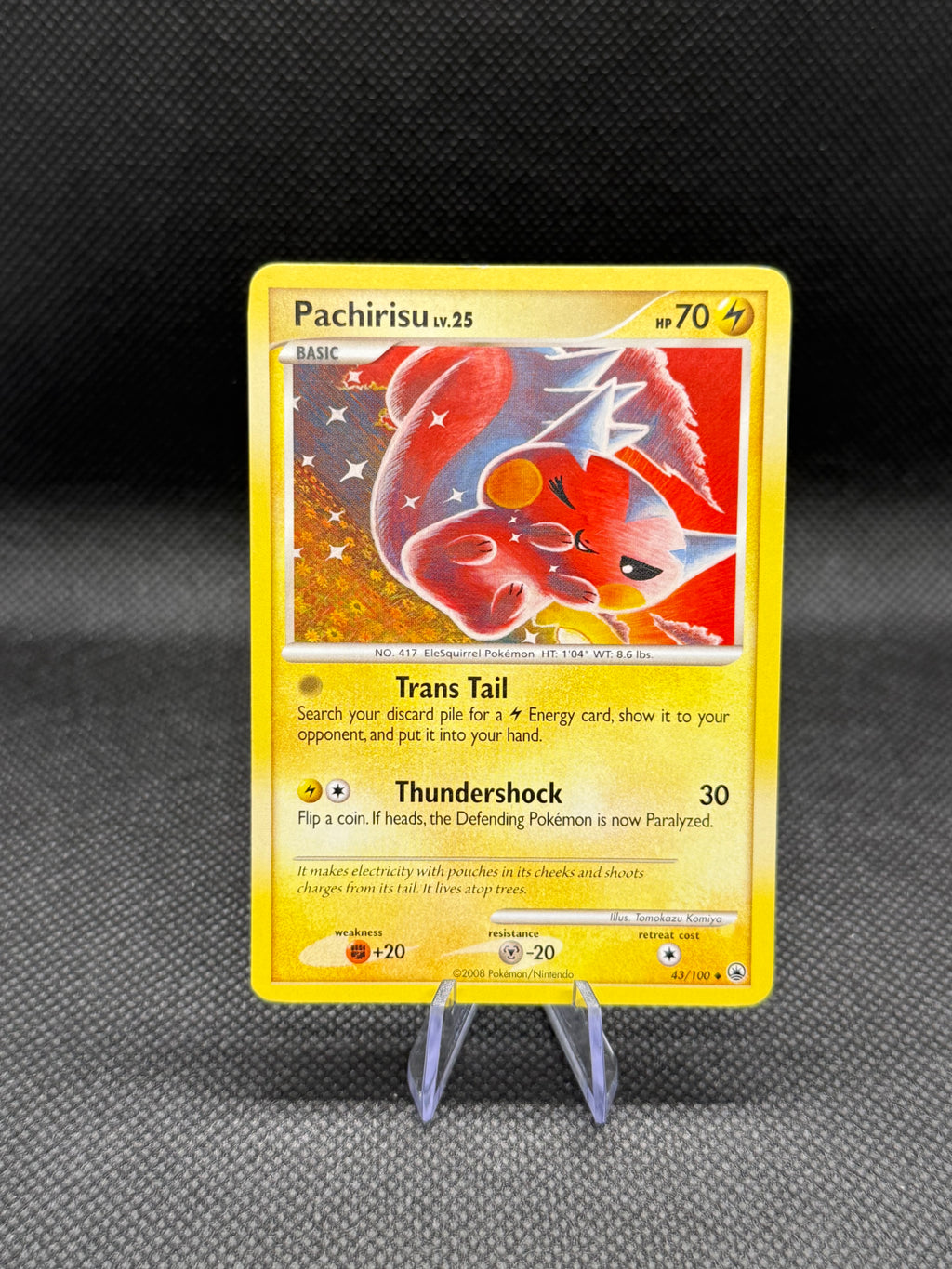 Pachirisu 43 by Tomokazu Komiya